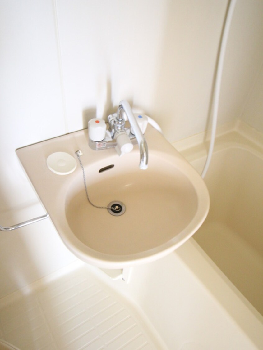 洗面 ロイヤルドーム１３０２