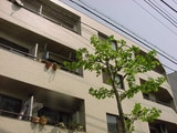パレドール西荻窪　301号室