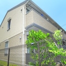 建物設備 サンライズ扇