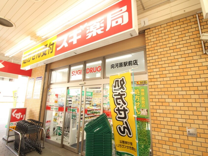 スギ薬局(ドラッグストア)まで600m ハイム・シャイニ－