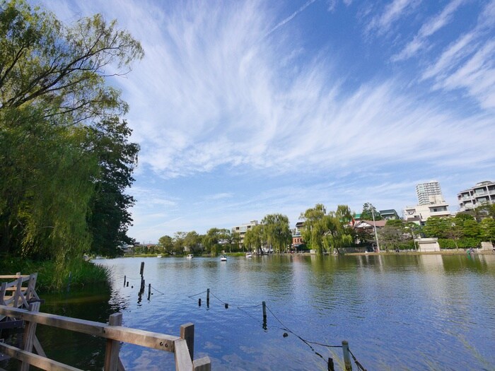 石神井公園(公園)まで1100m ライフピア・シモン