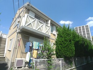 ドルフ中村