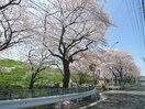 その他 ハイツクリエ－ション