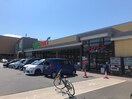ヨークマート 六浦店(スーパー)まで1300m ホワイトキャビン高舟