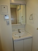 洗面 GREEN　TERRACE　MEJIRO