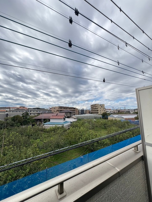 室内からの展望 シエラグランデ稲田堤