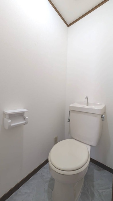 トイレ アイネプルメリア