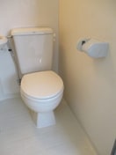 トイレ タイショウハイツ穴川
