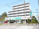 業務スーパーいぶき野店(スーパー)まで537m 長津田みなみ台戸建1