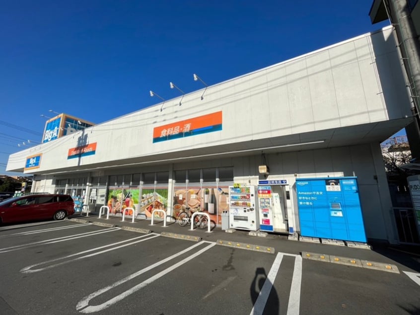 ビッグエー入間仏子店(ディスカウントショップ)まで300m 宮岡第１パナハイツ