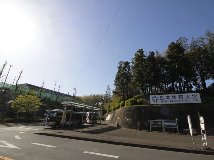 日本体育大学　横浜健志台キャンパス(大学/短大/専門学校)まで3300m グランドール大台