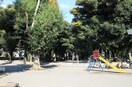 世田谷区立若林公園(公園)まで250m メゾンＫＭＩ