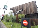 スターバックス(カフェ)まで309m ＰＡＬＡＺＺＯ淵野辺Ⅰ