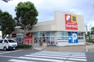 サンドラッグ東長沼店(ドラッグストア)まで345m サングリ－ン８