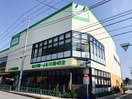 コープ　中野鷺宮店(スーパー)まで186m 第２メゾン篠崎