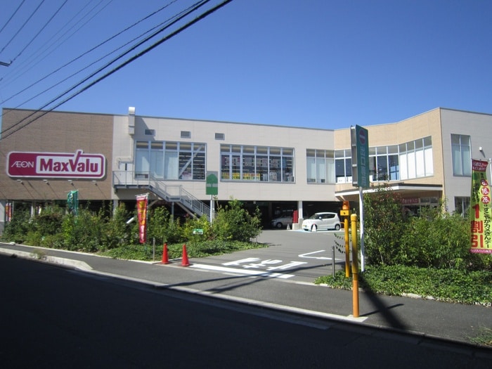 マックスバリュ　ザ・ビッグ(スーパー)まで214m ライフプラザ カナン