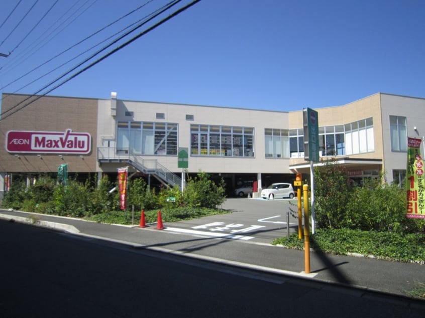 マックスバリュ　ザ・ビッグ(スーパー)まで214m ライフプラザ カナン