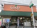 ユーコープ笹下店(スーパー)まで1000m ＣＯＵＲＴ　ＦＯＲＥＴ