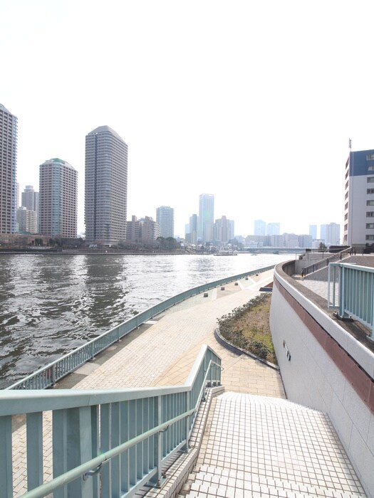 隅田川テラス(公園)まで85m パークアクシス築地