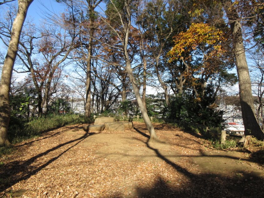 綱島公園(公園)まで90m グリーンパレス５