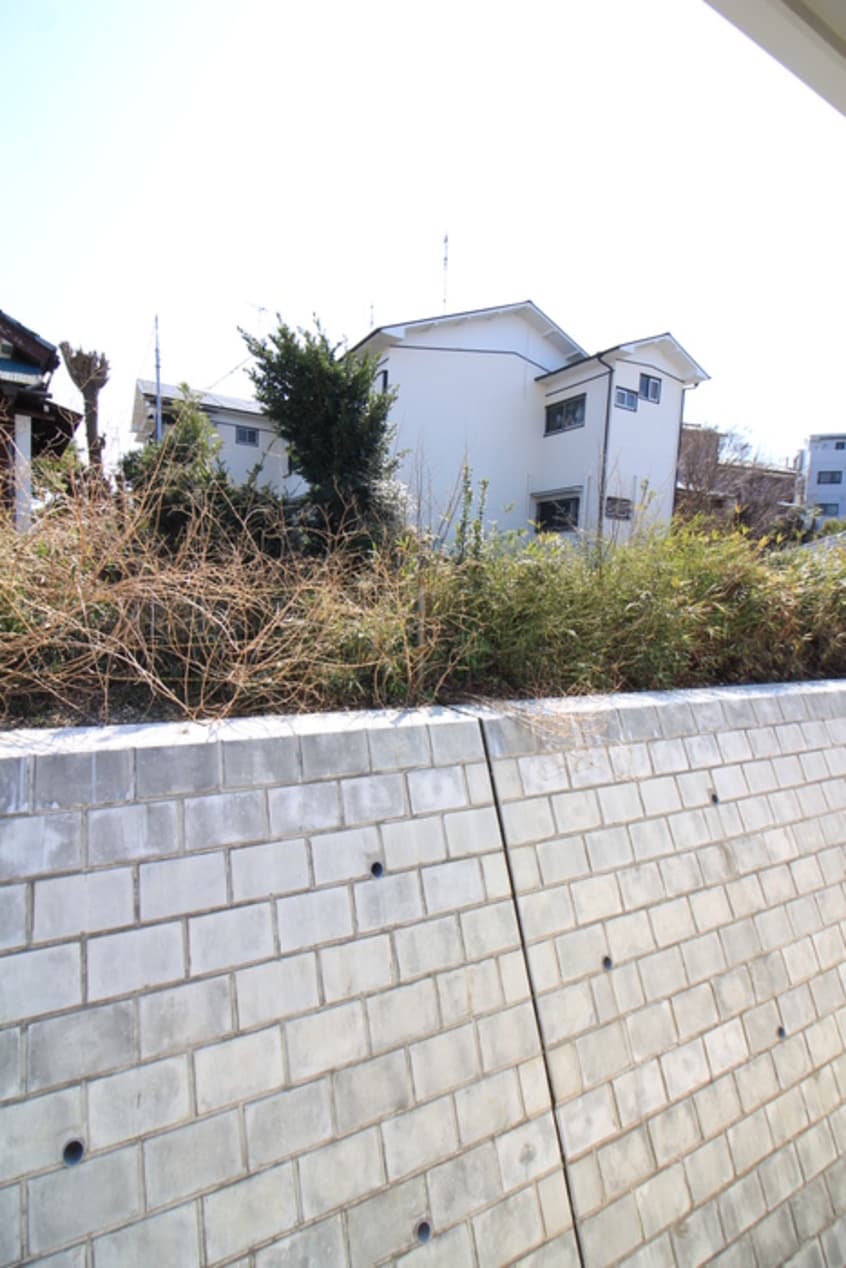 室内からの展望 Beams　Pine
