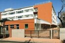 世田谷区立京西小学校(小学校)まで185m ＡＲＡＬＩＡ ＣＯＵＲＴ