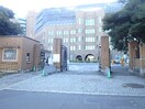 東京大学(大学/短大/専門学校)まで1700m アブレスト動坂