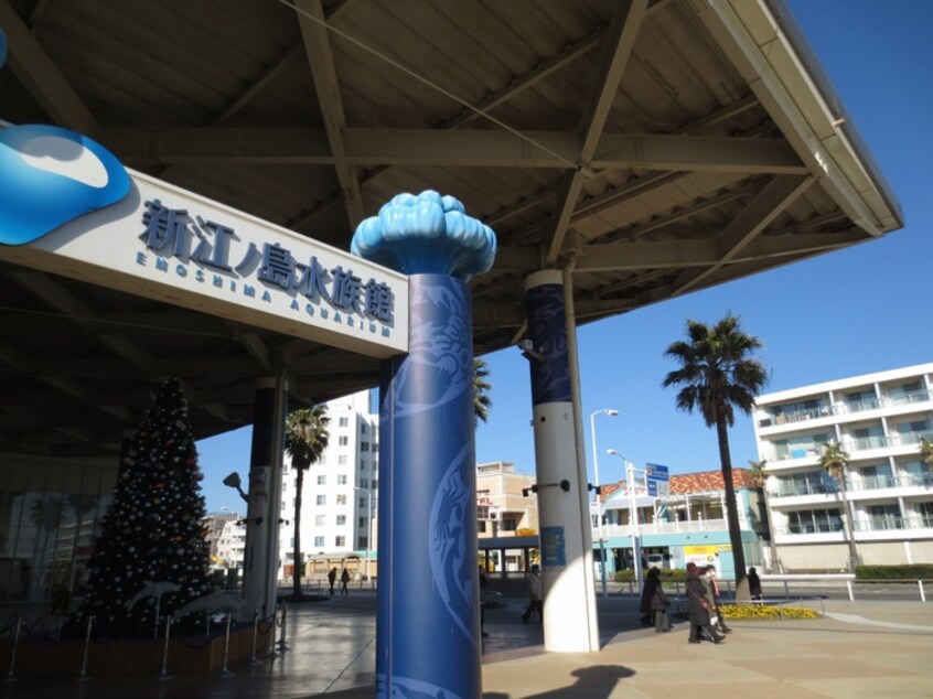 新江の島水族館(美術館/博物館)まで692m 第一浜美ハイツ