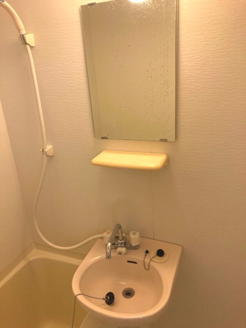 洗面 アルバティアラ