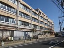 川崎市立中野島小学校(小学校)まで450m アックェ・ドット