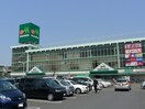 マルエツ(スーパー)まで853m ルミノサ・ファミリアA