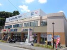 クリエイトエス・ディー港北日吉本町店(ドラッグストア)まで390m 第二宮坂ハイツ