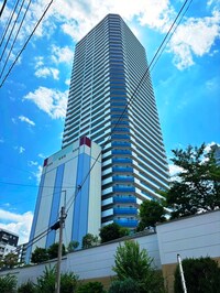 ｻﾞ･ﾖｺﾊﾏﾀﾜ-ｽﾞﾀﾜ-ｲ-ｽﾄ(Ｅ３１５)