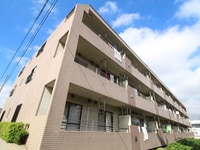 パピヨン片山
