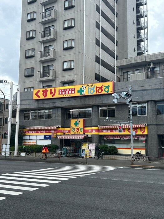 どらっぐぱぱす(ドラッグストア)まで450m ＣＡＳＡ　ＭＥＸＩＣＡＮＡ