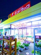 サンドラッグ(スーパー)まで883m ビューハイツ藤原