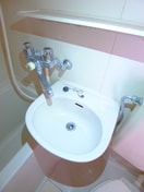 洗面 ジョイフル谷津