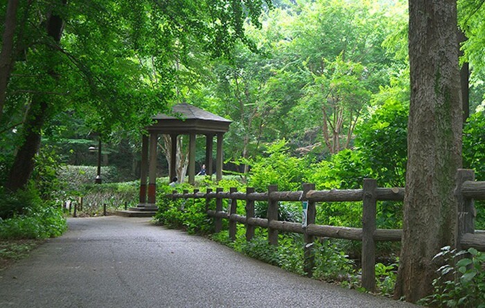 都立林試の森公園(公園)まで828m サンダーソンレジデンス