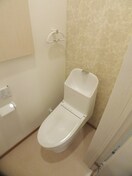 トイレ ウインドレスブルー