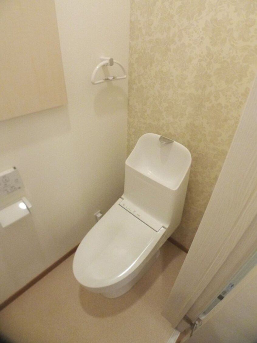 トイレ ウインドレスブルー