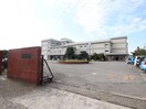 横須賀工業高校(高等学校/高等専門学校)まで614m メゾンルピナス