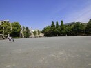 教育の森公園(公園)まで210m 学園台ハイツ（５０１）