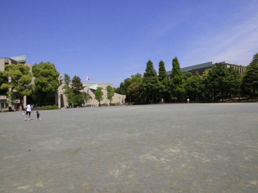 教育の森公園(公園)まで210m 学園台ハイツ（５０１）