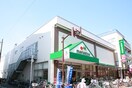 マルエツ元住吉店(スーパー)まで170m 第２ウッドム－ン