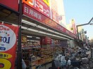 サンドラック元住吉店(ドラッグストア)まで160m 第２ウッドム－ン