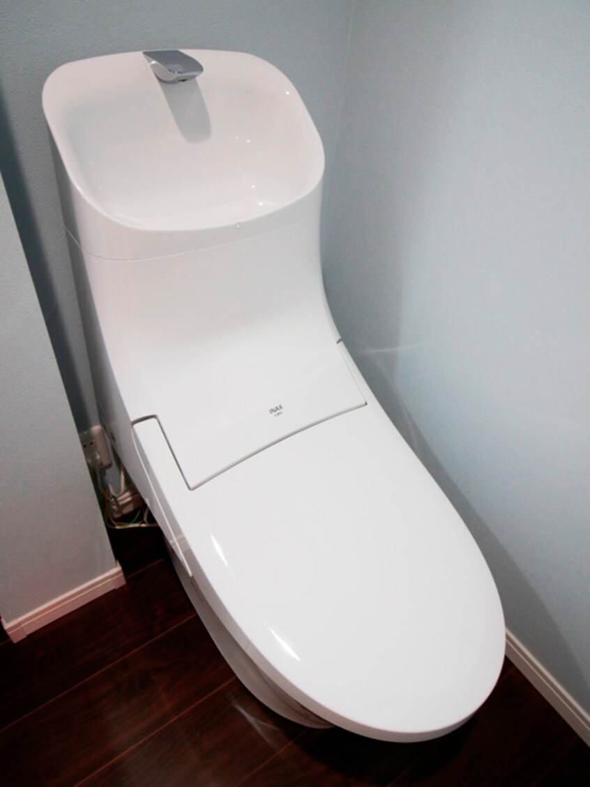 トイレ ブラウニー