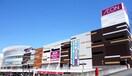 イオン大和鶴間店(ショッピングセンター/アウトレットモール)まで332m ブラウニー
