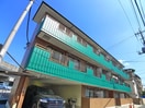 その他 オークリーフ
