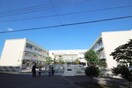 志木第二小学校(小学校)まで932m テランヴェール