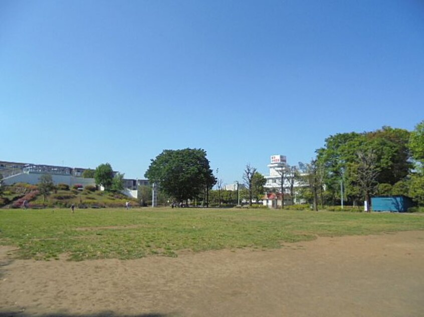 文理台公園(公園)まで600m ラヴェンダー保谷